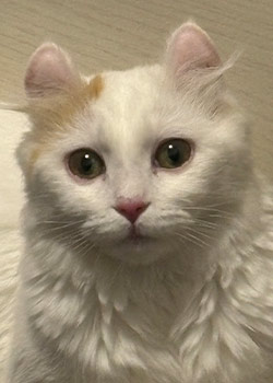 だいごろう 