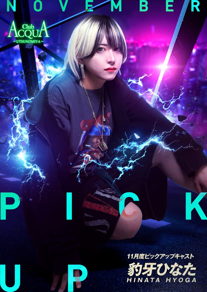 11月度Pick-up