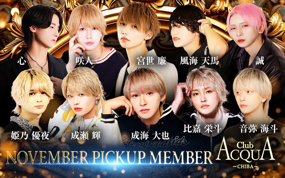11月度Pick-up Member