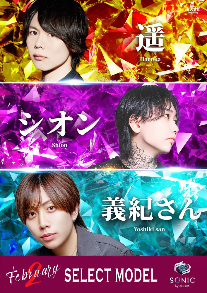 セレクトモデル